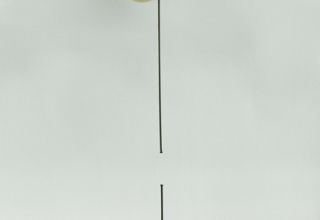 Adherence, 2013